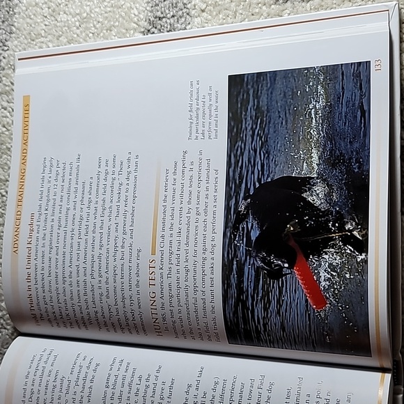 The Labrador Retriever Book Diane Morgan copyright 2005 hardback 206 pgs - Picture 6 of 9